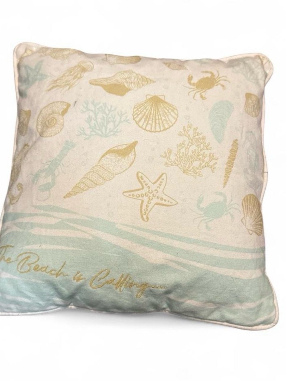 Coastal Seashell Small Decorative Throw Pillow - Aqua & Cream